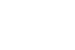 VPN Access feature